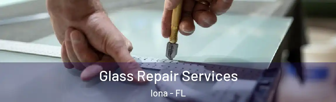 Glass Repair Services Iona - FL