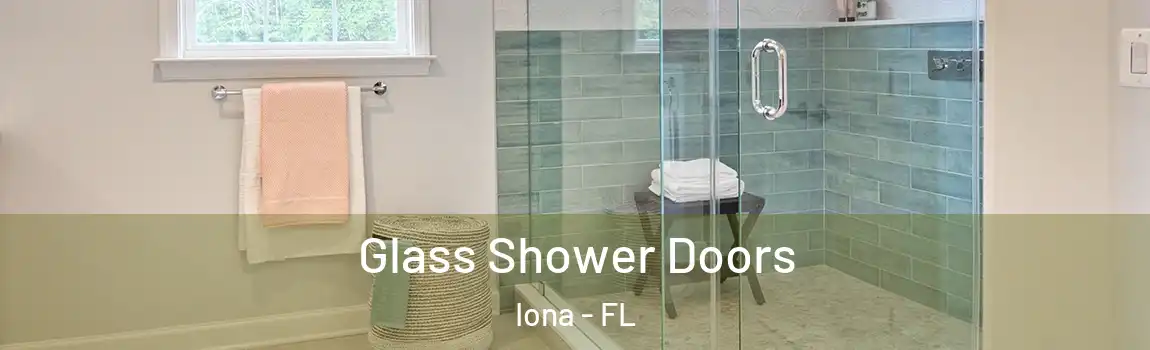 Glass Shower Doors Iona - FL