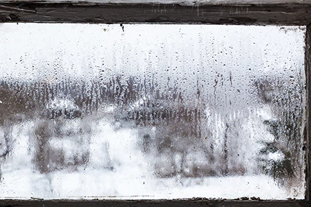 Defogging Double Pane Windows in Iona, FL
